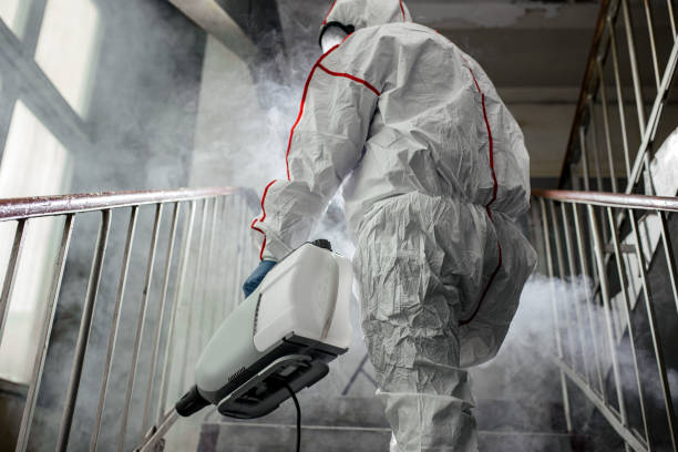 Why You Should Choose Our Mold Remediation Services in Weston, FL